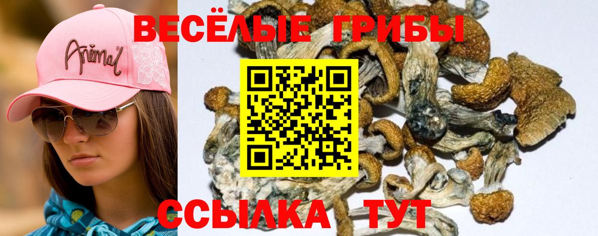 цена наркотик  Псилоцибиновые грибы мухоморы  Вход с VPN  Пушкино 