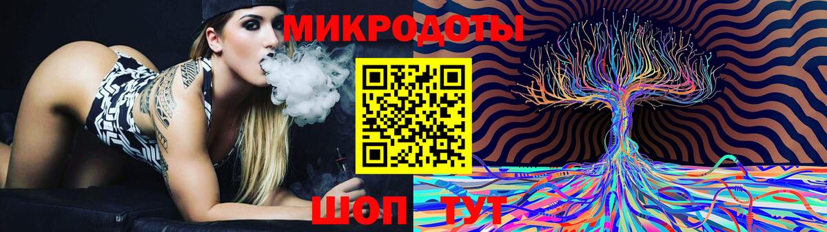 Псилоцибиновые грибы Psilocybe Пушкино